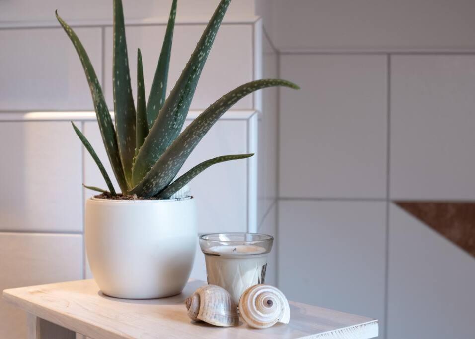 Moderne, Gemuetliche Dg-Wohnung In Ruhiger Lage Neunburg vorm Wald Esterno foto