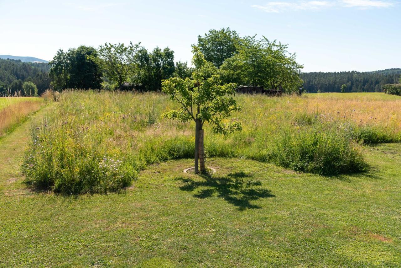 Moderne, Gemuetliche Dg-Wohnung In Ruhiger Lage Neunburg vorm Wald Esterno foto